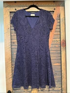 Everly Navy Crochet Lace V-Neck Mini Dress